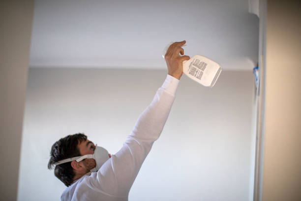 Certified Mold Removal in Rockwell Place, TX
