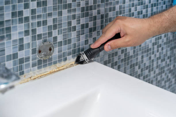 Best Mold Removal Company Near Me  in Rockwell Place, TX